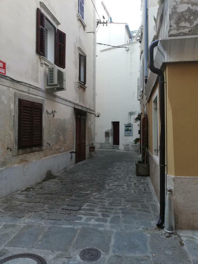 Apartman Nono Mario - Marin Piran